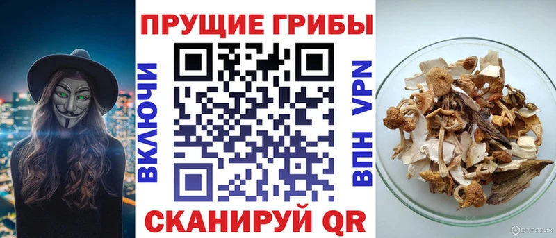 Галлюциногенные грибы ЛСД  купить наркотик  Ишим 