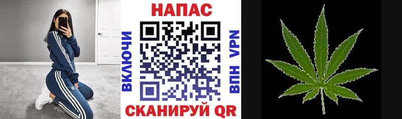 где можно купить наркотик Ишим Шишки марихуана THC 21%